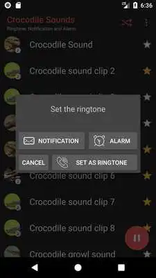 Play Appp.io - Crocodile Sounds