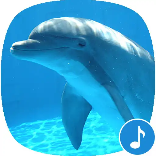 Play Appp.io - Dolphin Sounds APK Play Appp.io - Dolphin Sounds APK