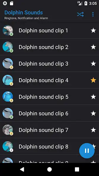Play Appp.io - Dolphin Sounds as an online game Appp.io - Dolphin Sounds with UptoPlay