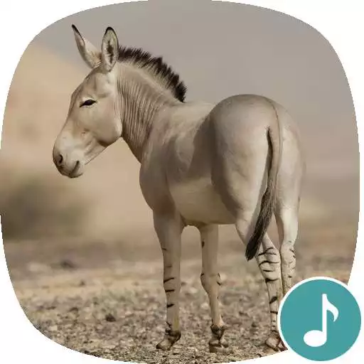 Free play online Appp.io - Donkey Sounds APK Free play online Appp.io - Donkey Sounds APK