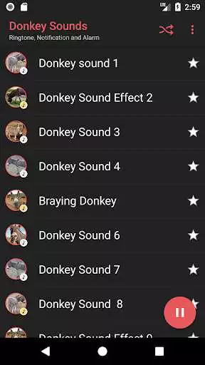 Play Appp.io - Donkey Sounds