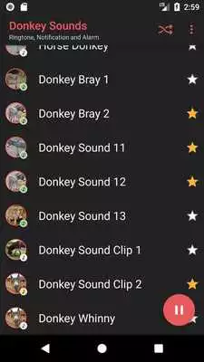 Play Appp.io - Donkey Sounds