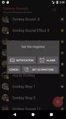 Play Appp.io - Donkey Sounds