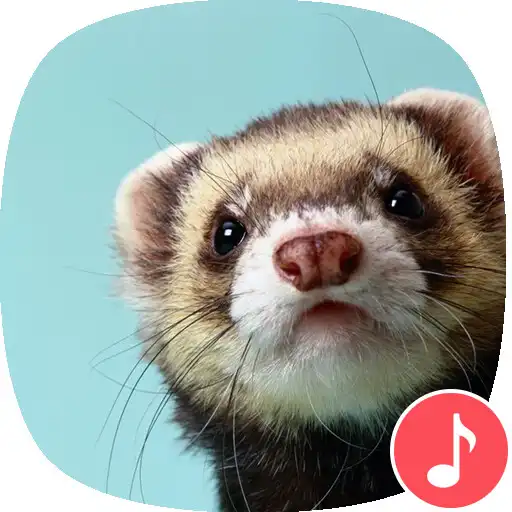 Play Appp.io - Ferret Sounds APK