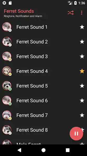 Play Appp.io - Ferret Sounds as an online game Appp.io - Ferret Sounds with UptoPlay