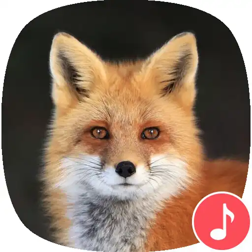 Play Appp.io - Fox sounds APK Play Appp.io - Fox sounds APK