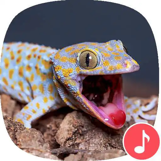Play Appp.io - Gecko Sounds APK