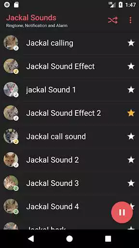 Play Appp.io - Jackal Sounds