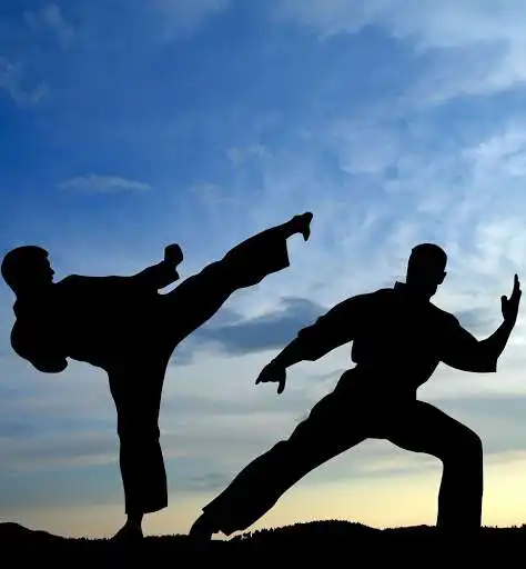 Play Appp.io - Karate sounds  and enjoy Appp.io - Karate sounds with UptoPlay