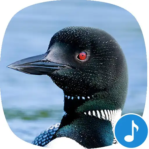 Play Appp.io - Loon Bird Sounds APK