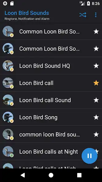 Play Appp.io - Loon Bird Sounds as an online game Appp.io - Loon Bird Sounds with UptoPlay