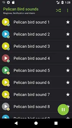 Play Appp.io - Pelican Bird sounds  and enjoy Appp.io - Pelican Bird sounds with UptoPlay