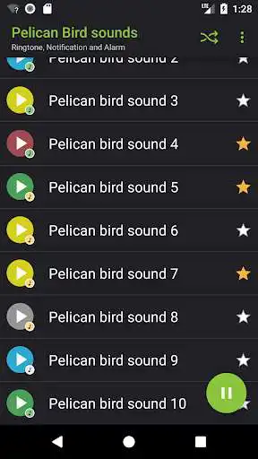 Play Appp.io - Pelican Bird sounds as an online game Appp.io - Pelican Bird sounds with UptoPlay