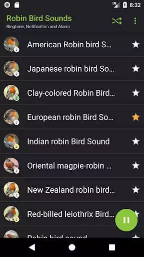 Play Appp.io - Robin Bird Sounds as an online game Appp.io - Robin Bird Sounds with UptoPlay