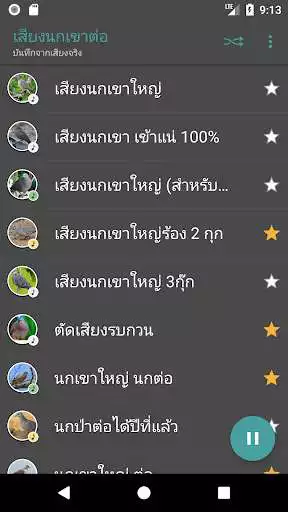 Play Appp.io - Spotted dove sounds  and enjoy Appp.io - Spotted dove sounds with UptoPlay