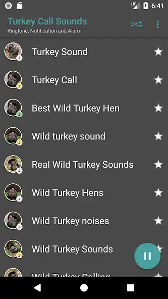 Play Appp.io - Turkey Sounds as an online game Appp.io - Turkey Sounds with UptoPlay