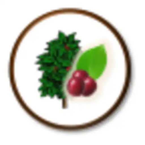 Play AppVEFcafe APK Play AppVEFcafe APK