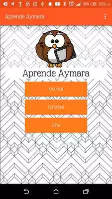Play Aprende Aymara - Beta