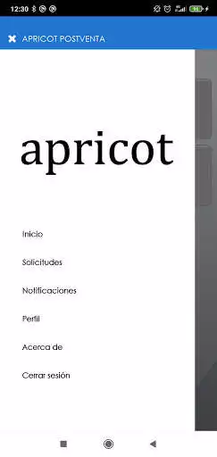 Play APRICOT POSTVENTA as an online game APRICOT POSTVENTA with UptoPlay