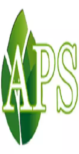 Play APS Industries