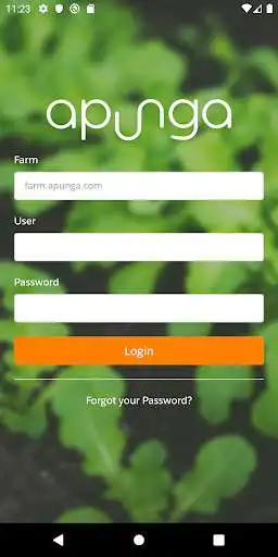 Play apunga  and enjoy apunga with UptoPlay