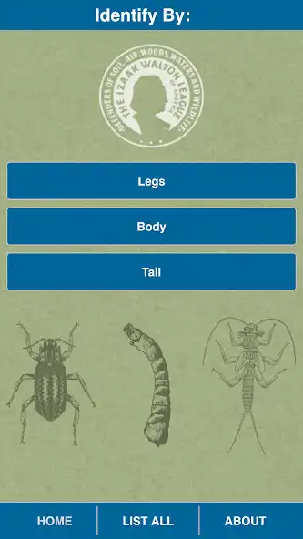 Play Aqua Bugs  and enjoy Aqua Bugs with UptoPlay
