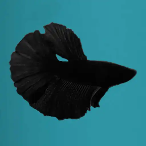 Play AquaCalculator APK Play AquaCalculator APK