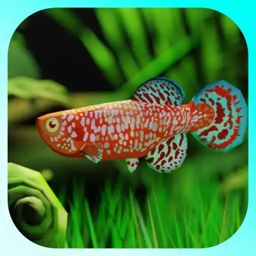 Play AquaPlants APK Play AquaPlants APK