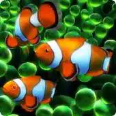 Free play online Aquarium 2 live wallpaper APK Free play online Aquarium 2 live wallpaper APK