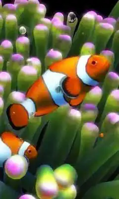 Play Aquarium 2 live wallpaper