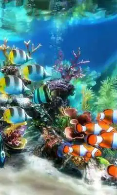 Play Aquarium 2 live wallpaper