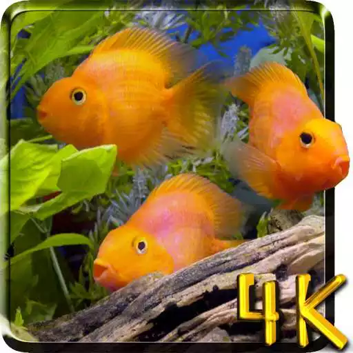 Free play online Aquarium 4K Live Wallpaper APK