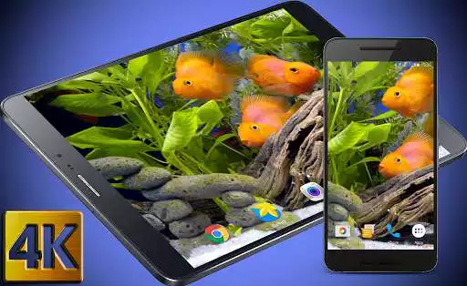 Play Aquarium 4K Live Wallpaper