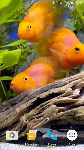 Play Aquarium 4K Live Wallpaper
