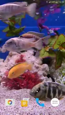 Play Aquarium 4K Live Wallpaper