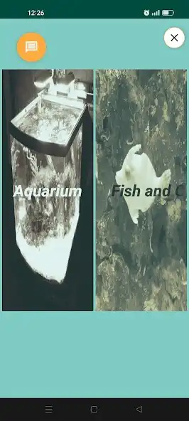 Play Aquarium and Fish Organizer  and enjoy Aquarium and Fish Organizer with UptoPlay