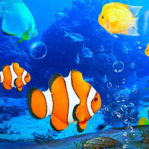 Free play online Aquarium Clown Fish Live Wallpaper 2019 APK Free play online Aquarium Clown Fish Live Wallpaper 2019 APK