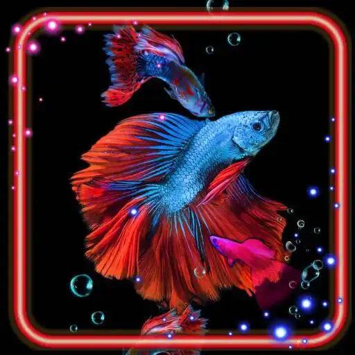 Play Aquarium Dark Live Wallpaper APK Play Aquarium Dark Live Wallpaper APK