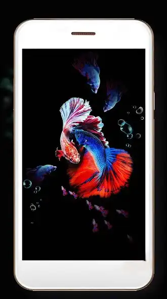 Play Aquarium Dark Live Wallpaper as an online game Aquarium Dark Live Wallpaper with UptoPlay