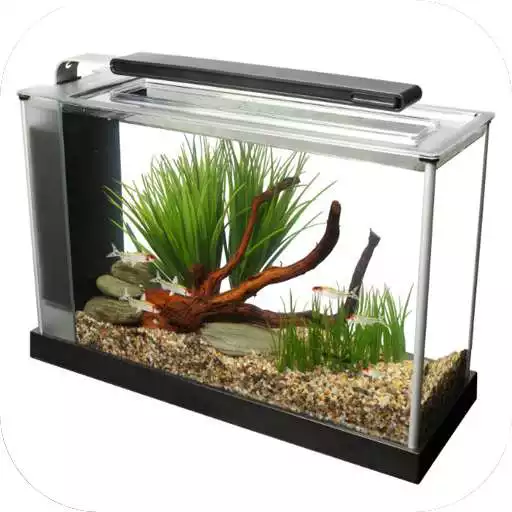 Free play online Aquarium Design Ideas APK Free play online Aquarium Design Ideas APK