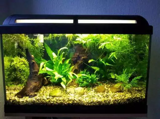 Play Aquarium Design Ideas