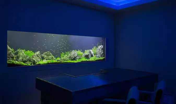 Play Aquarium Design Ideas