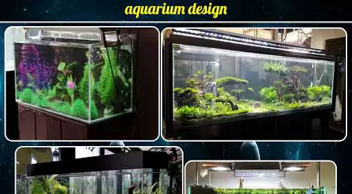 Play Aquarium Design