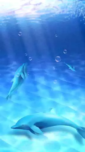 Play Aquarium dolphin simulation as an online game Aquarium dolphin simulation with UptoPlay