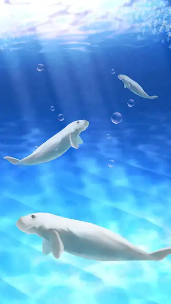 Play Aquarium dugong simulation as an online game online Aquarium dugong simulation with UptoPlay Play Aquarium dugong simulation as an online game Aquarium dugong simulation with UptoPlay