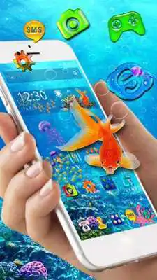 Play Aquarium Fish Theme