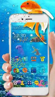 Play Aquarium Fish Theme