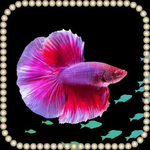 Play Aquarium Fish Wallpaper APK Play Aquarium Fish Wallpaper APK
