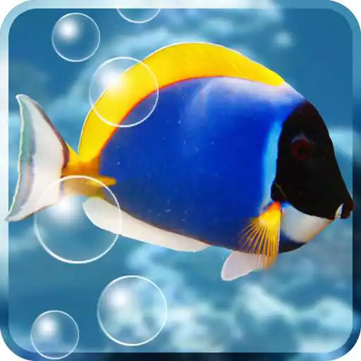 Free play online Aquarium Free Live Wallpaper APK Free play online Aquarium Free Live Wallpaper APK