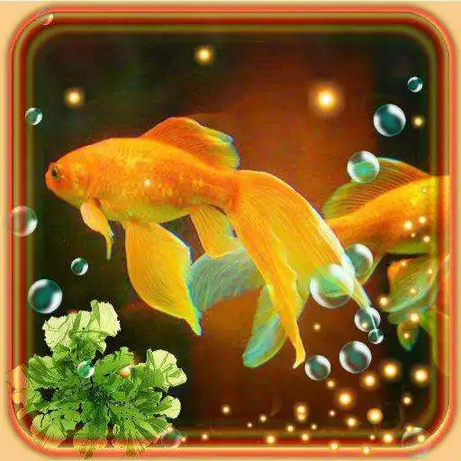 Play Aquarium Gold Fishes LWP APK